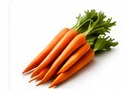Carottes