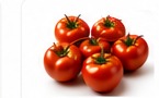 Tomates fraîches